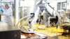 Dairy Food Processing