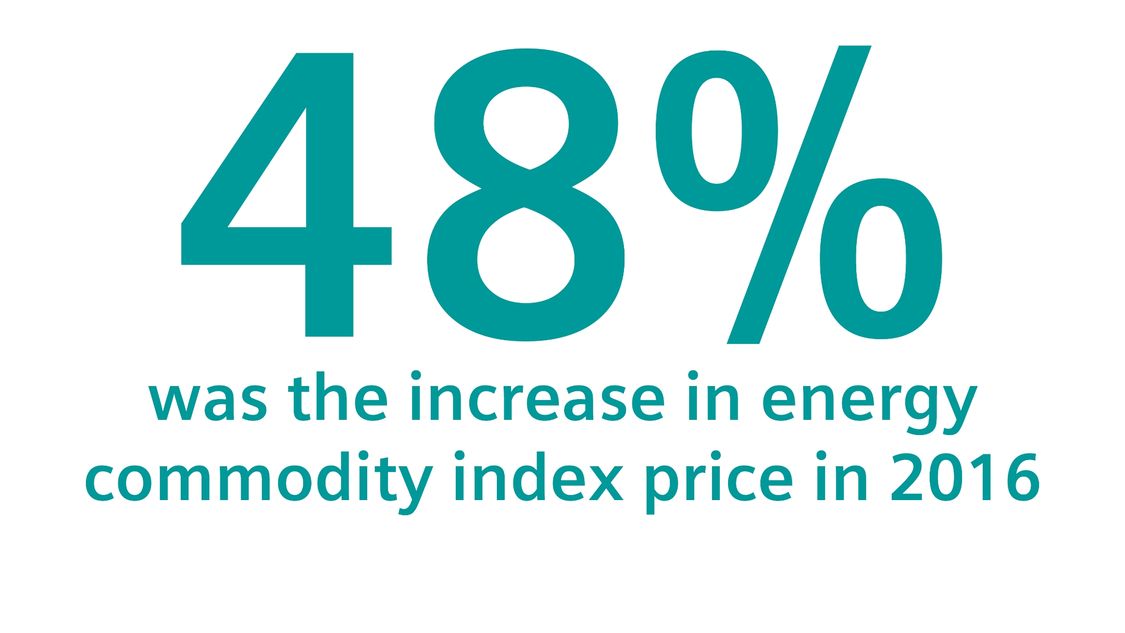 Составил рост индекса цен на энергоресурсы