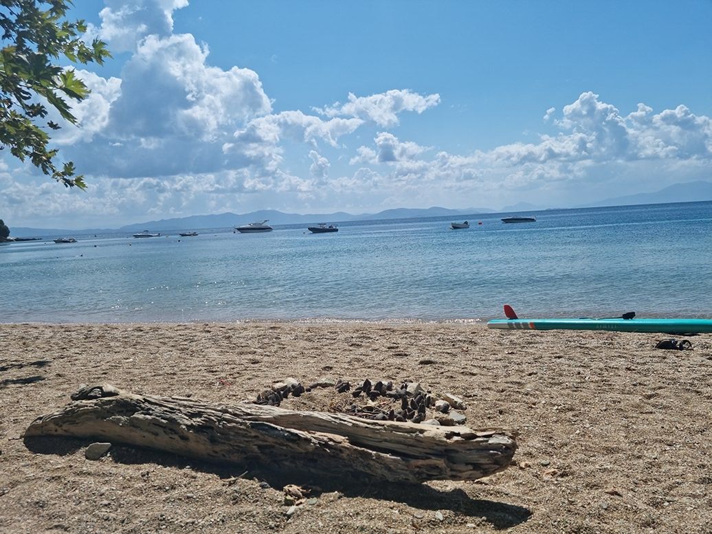paddle-board
