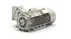 AboveNEMA Advantage TEFC Motor