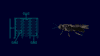 nasekomo-insect-protein-feed-digital-twin-simulation-digitalization-bulgaria-header