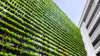 Energy and sustainability – the new competitive edge
