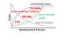shows that it is less expensive to find errors early