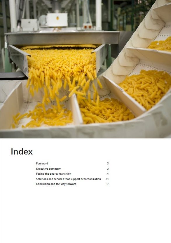 Whitepaper: Decarbonizing practices in the global food and beverage industry index