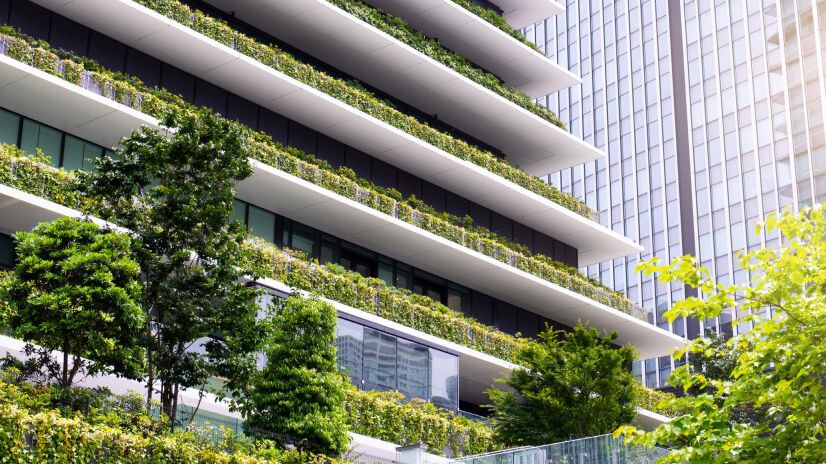 White paper: Decarbonizing the real estate sector cover