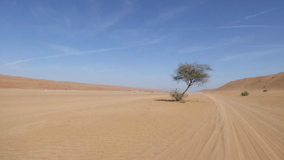 Petroleum Development Oman | Naher Osten | Öl und Gas