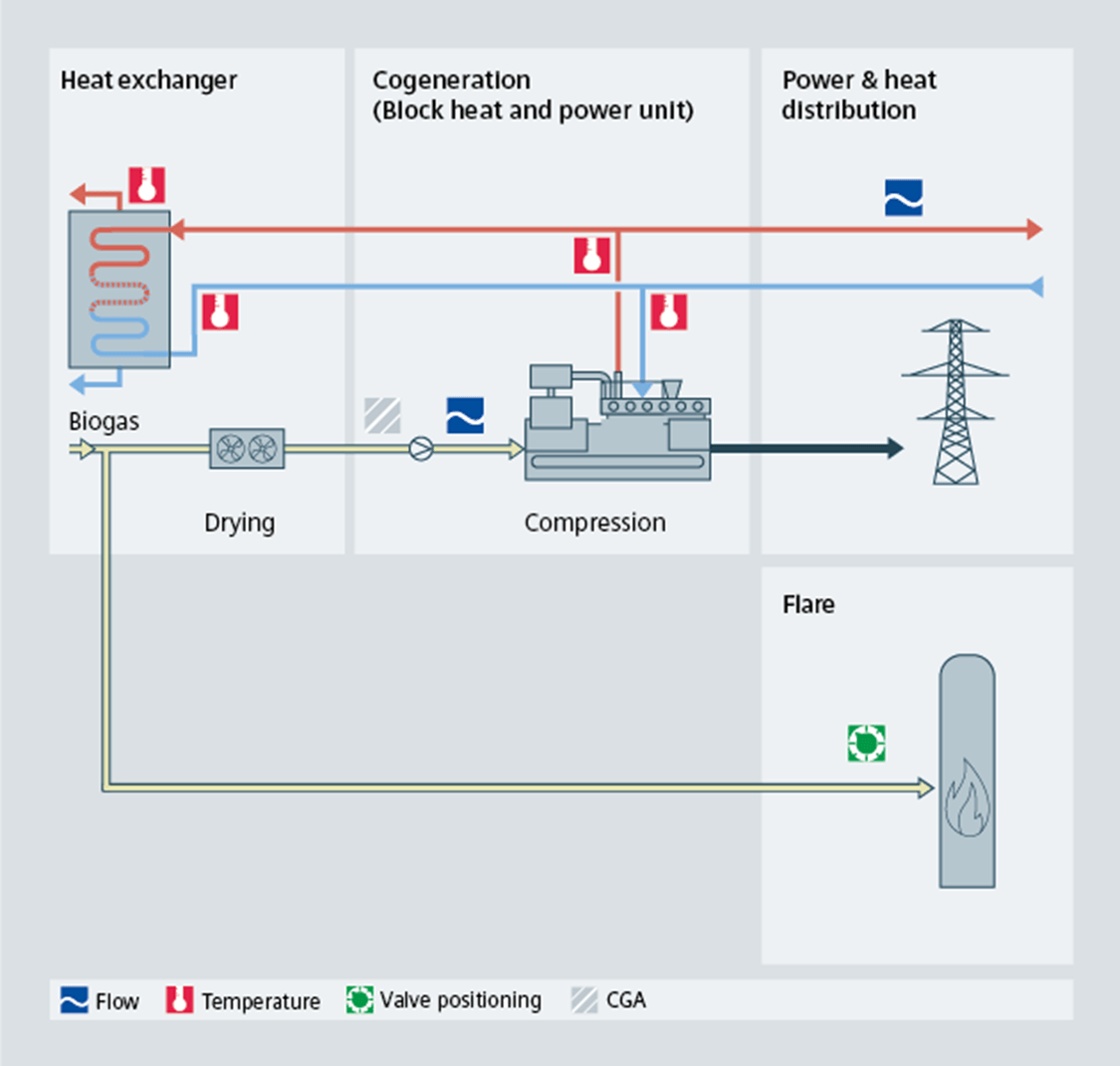 Biogas heat exchanger process diagram - USA