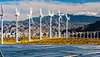 Solar and wind farm in California