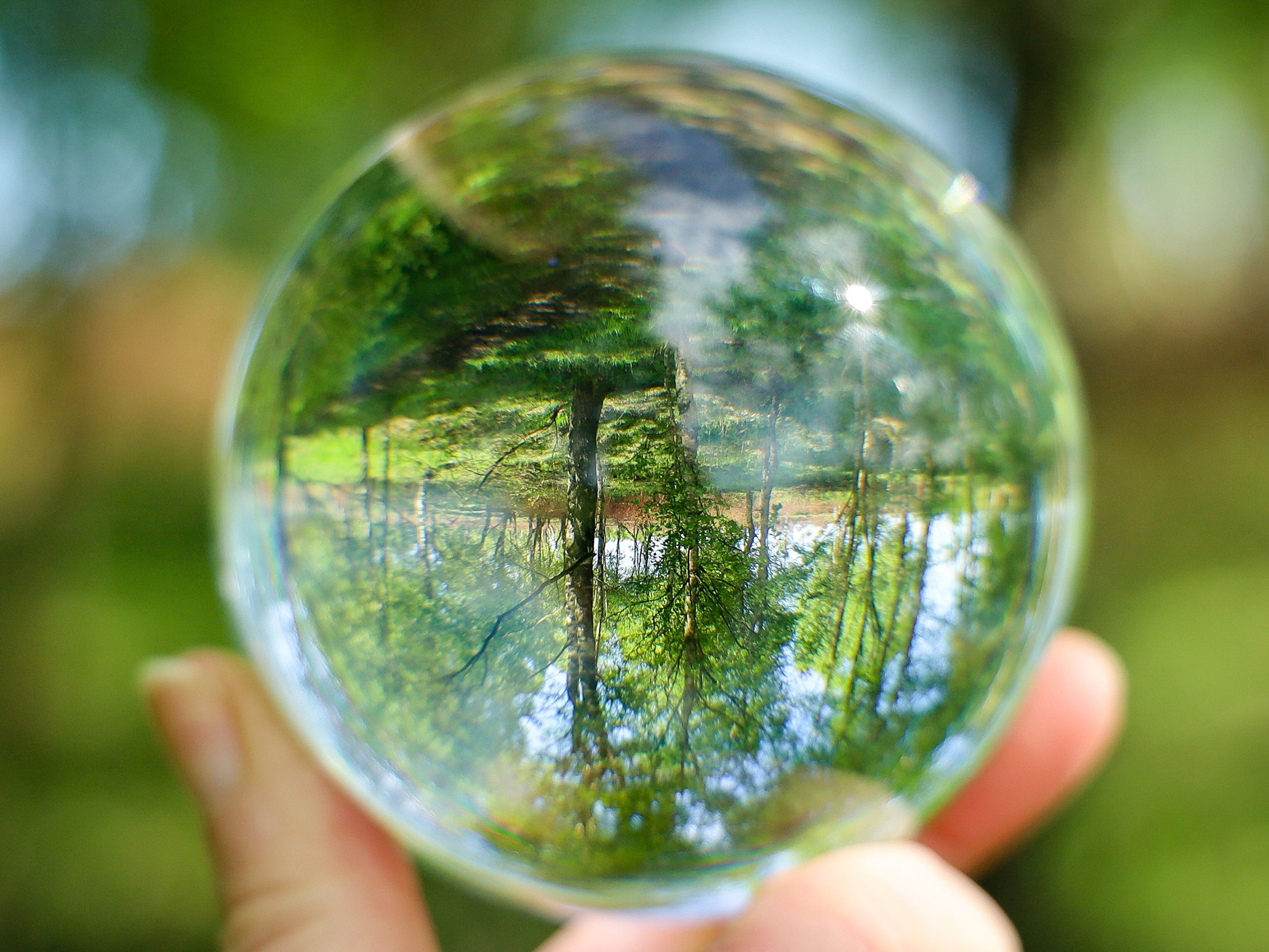 Sustainability