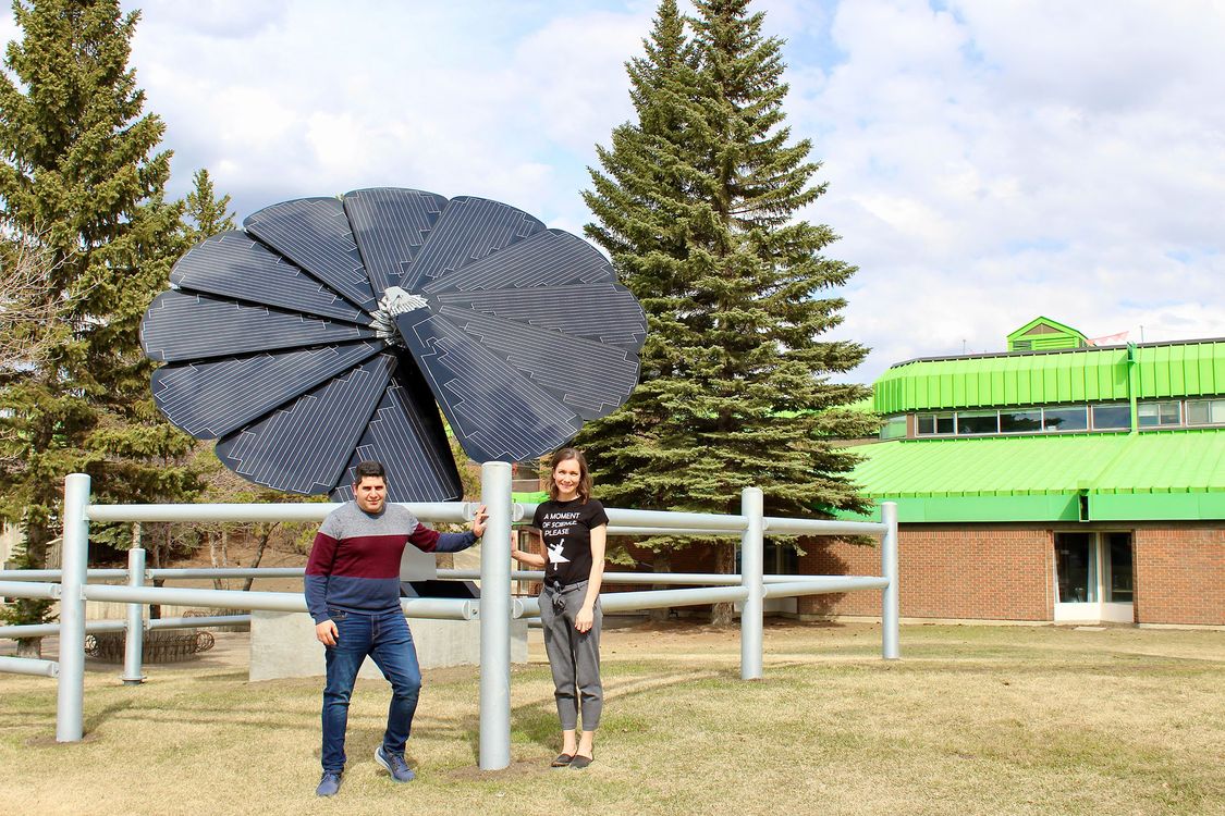 The Smartflower