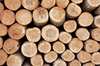 Lösungen für die Holzindustrie