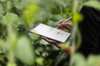 Photo of a tablet with sustainability data and green plants in the background as a symbol for sustainable actions and decarbonization