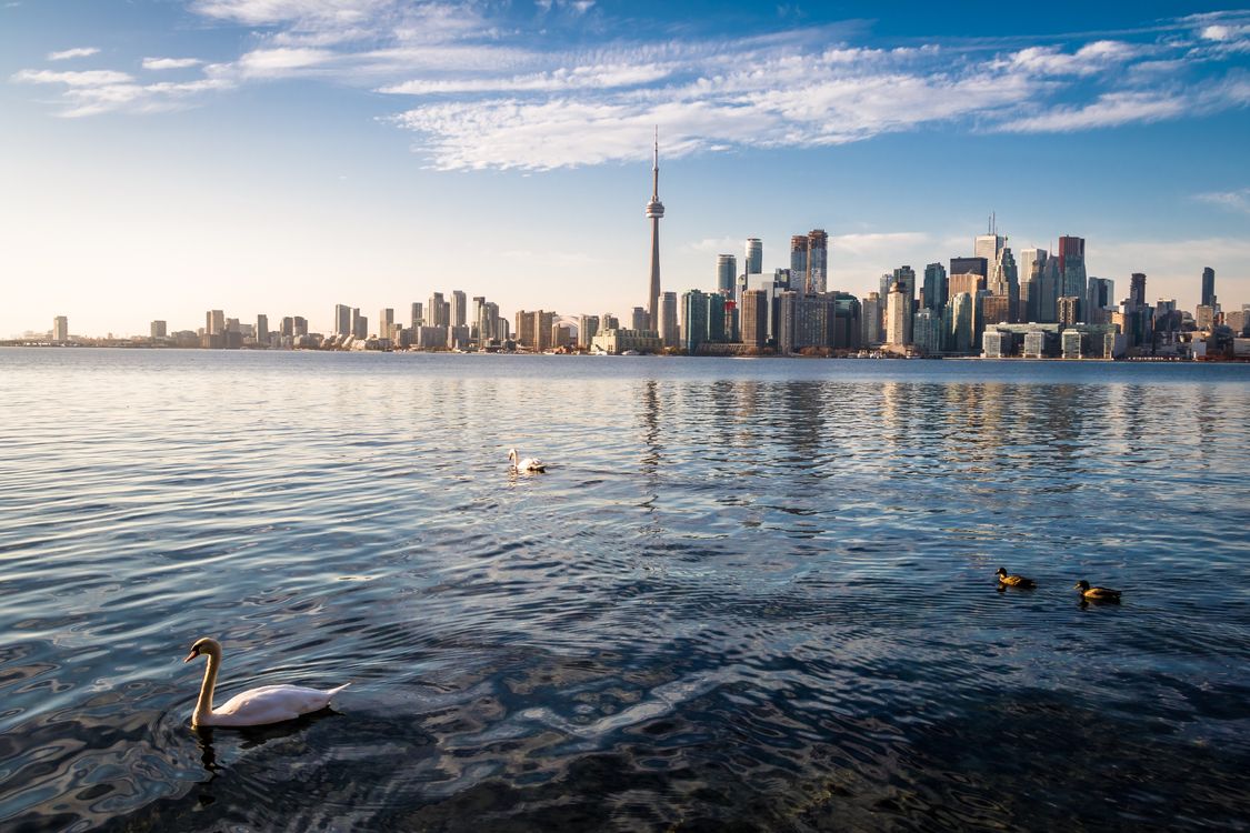Toronto Skyline from lake
